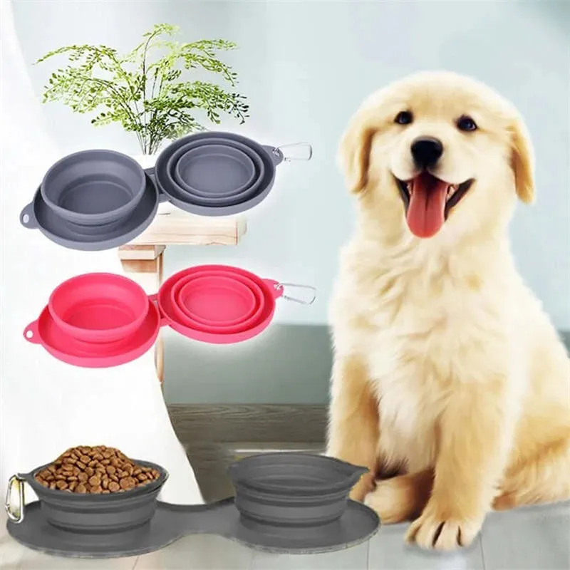 Double Feeding Bowl