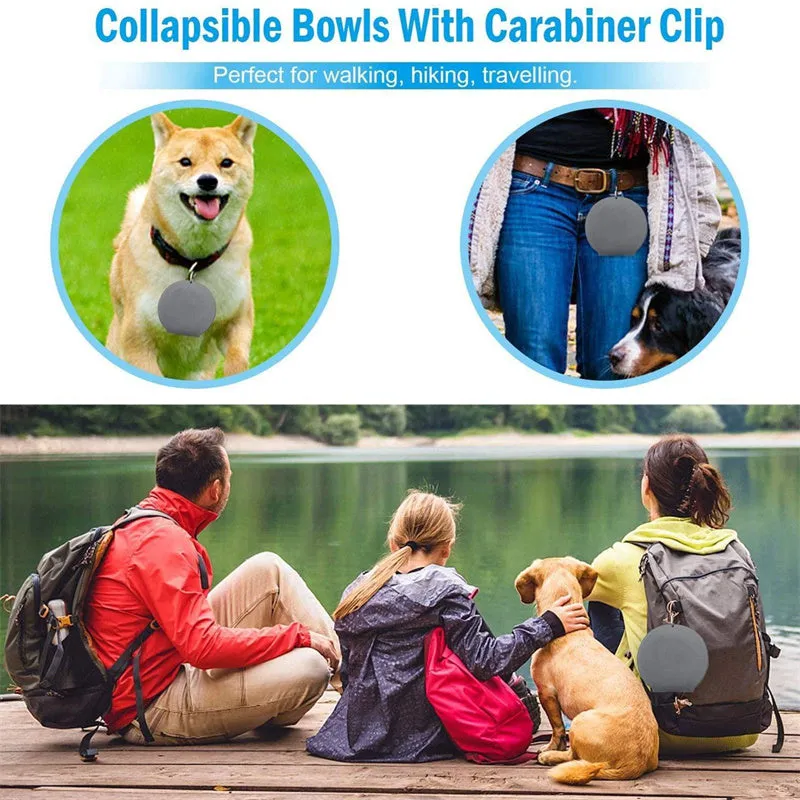 Double Feeding Bowl